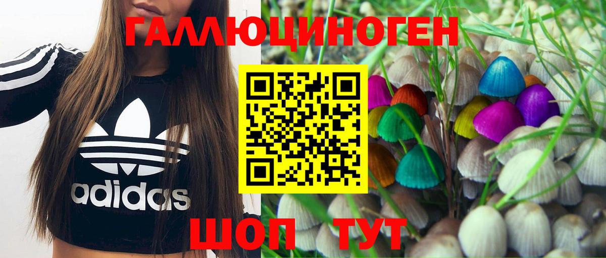 Галлюциногенные грибы Psilocybine cubensis  Вход с VPN  Горно-Алтайск 