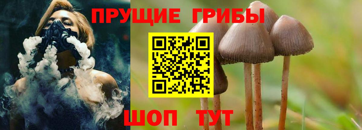 Галлюциногенные грибы мицелий Горно-Алтайск